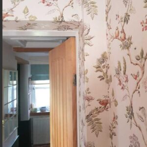 MD Painting and Decorating Services Photo 62
