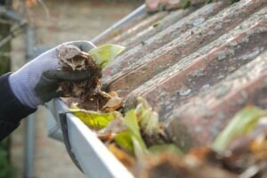 Gutter cleaning cost