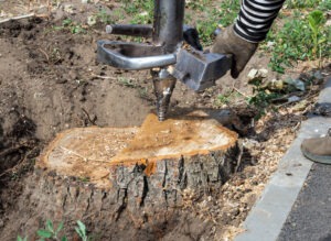 Stump Removal cost
