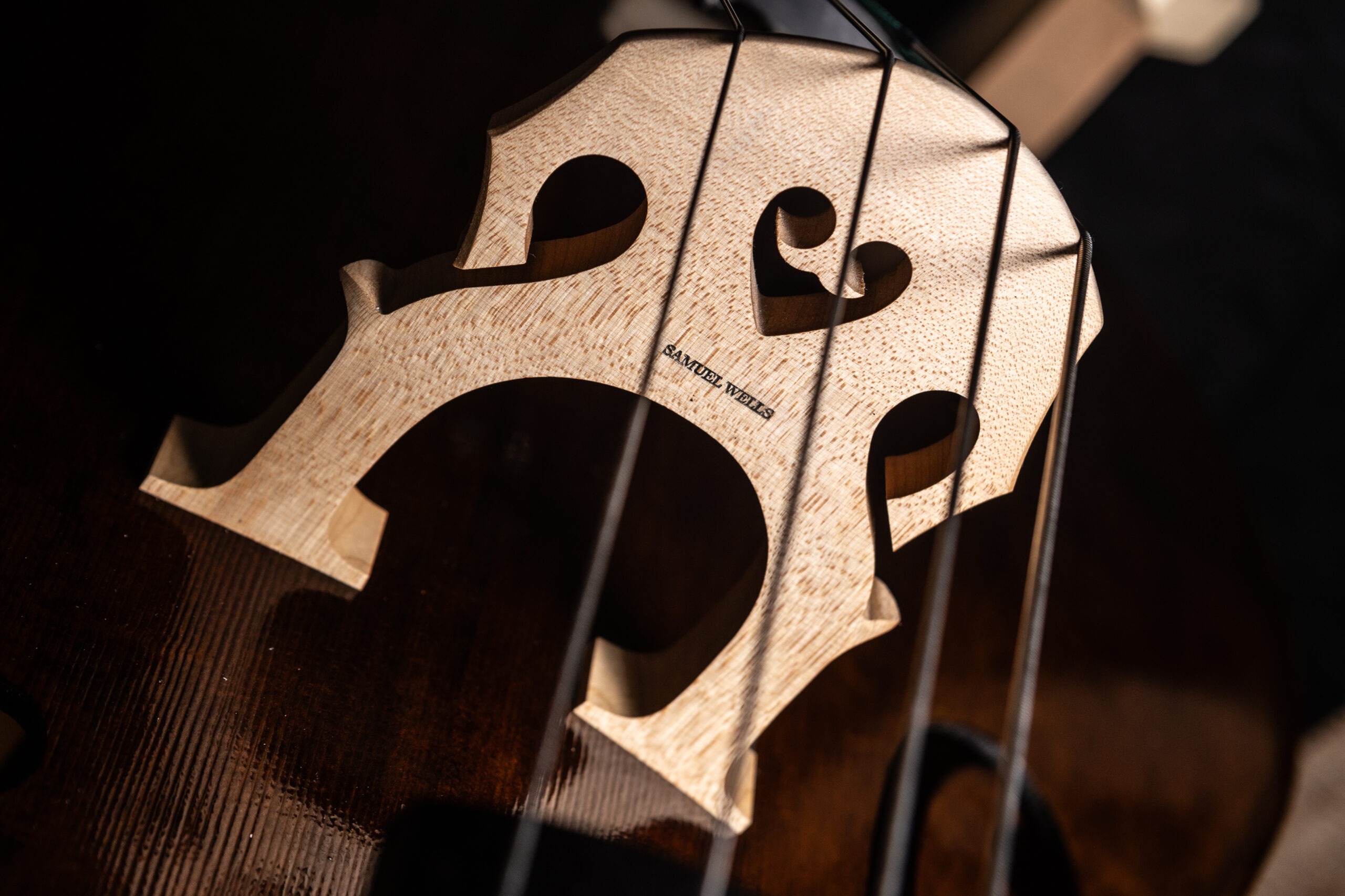 Double Bass Maker and Repairer - The Guild of Master Craftsmen