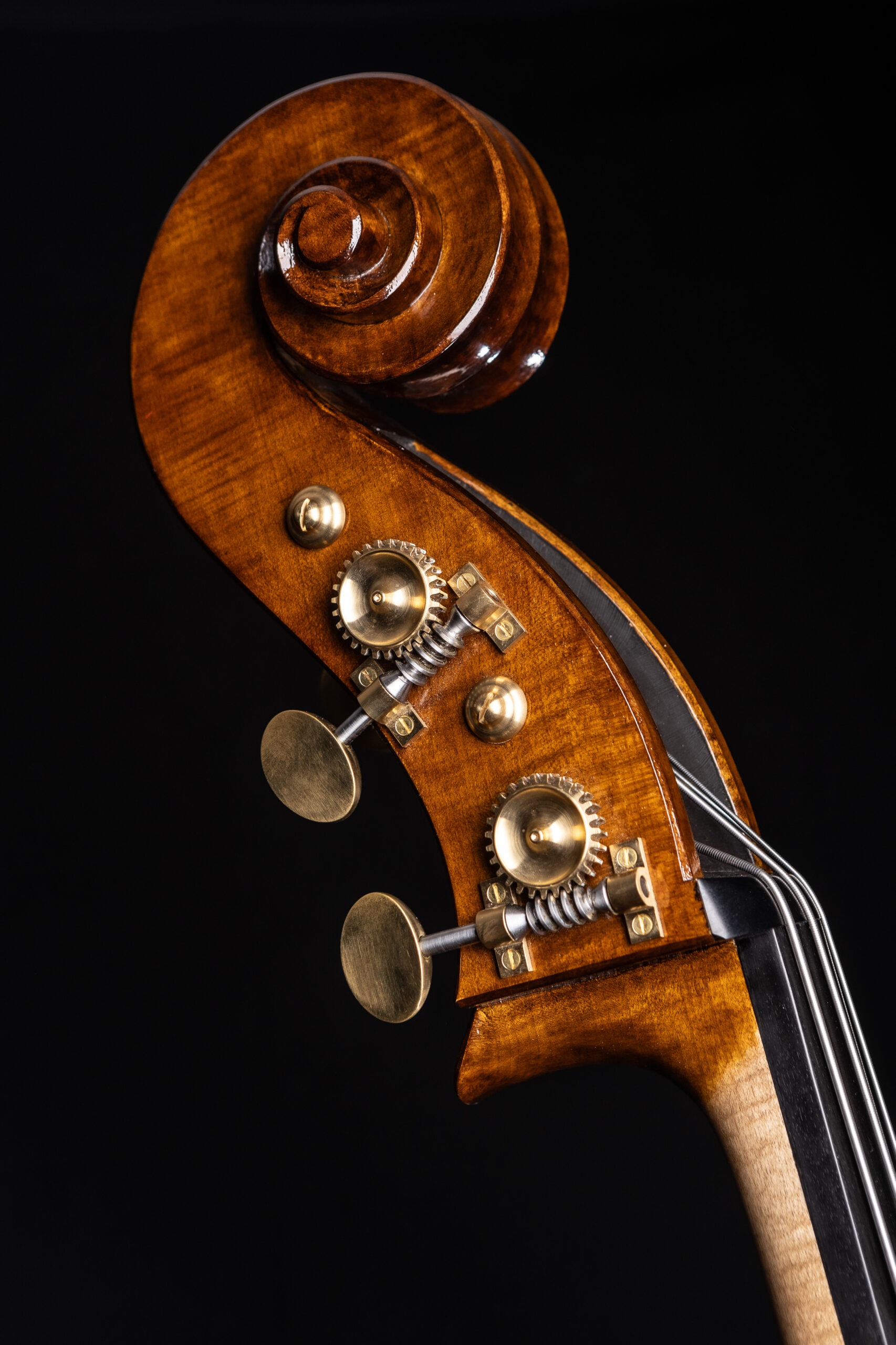 Double Bass Maker and Repairer - The Guild of Master Craftsmen