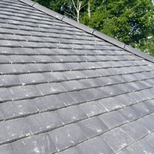 Approved Roofing Specialists Ltd Photo 42