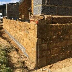 Olive Tree Construction