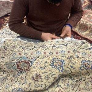 Rug Nurse