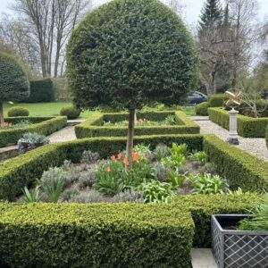 Indigo Garden Design