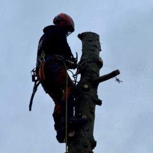 C Baker Winching and Timber