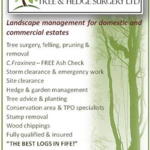 Special Branch Tree and Hedge Surgery Ltd