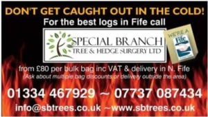 Special Branch Tree and Hedge Surgery Ltd Photo 2