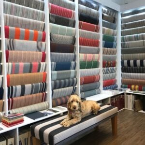 Buckland Carpet and Flooring Centre Photo 1