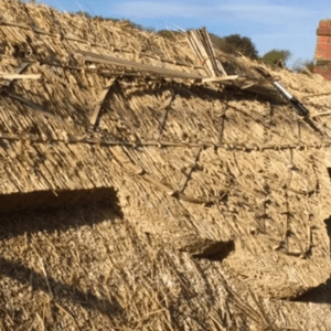 Colegrave Thatching