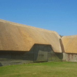 Southern Counties Thatching Ltd Photo 2