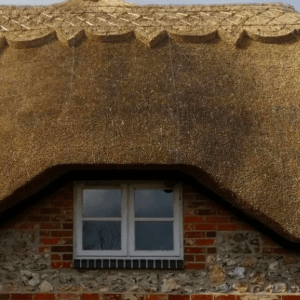 Southern Counties Thatching Ltd Photo 3