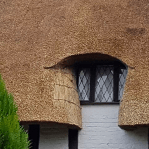 Southern Counties Thatching Ltd
