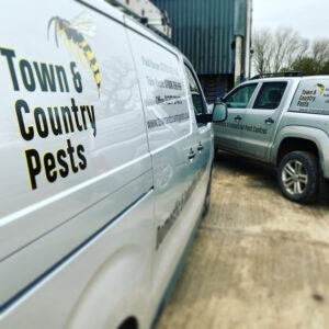 Town and Country Pests