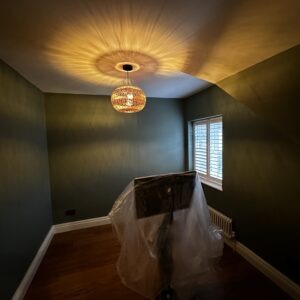 CAH Painting and Decorating Ltd Photo 7