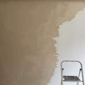 The Painting and Decorating Company